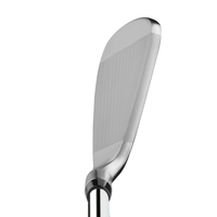 address view of the mirrored finished Orlimar Intercept MB Iron